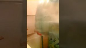 Парник из 5 литровой бутылки