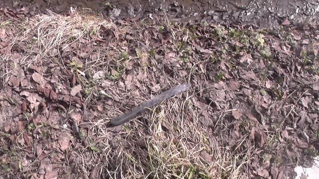 Что делать, если нашёл нож? смотреть онлайн