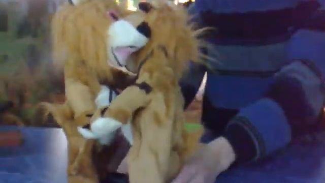 210120121949главные призы тира сафари танцующие львы смотреть онлайн