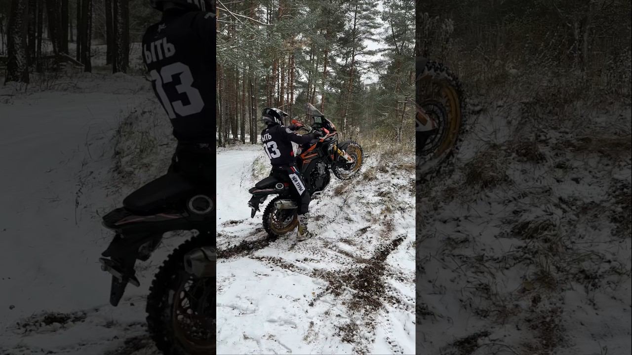 31 октября 2023 г. смотреть онлайн