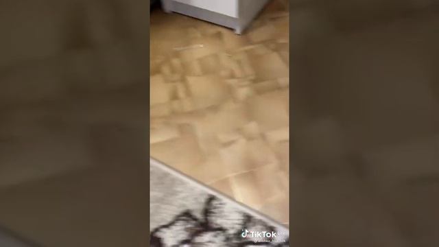 Разбила градусник ? что делать??? смотреть онлайн