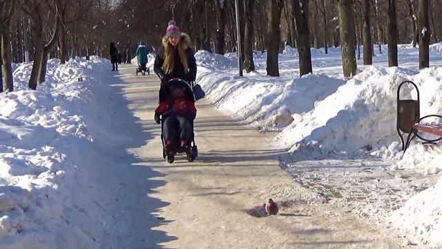Easywalker MINI Buggy XS - компактная коляска из Нидерландов смотреть онлайн