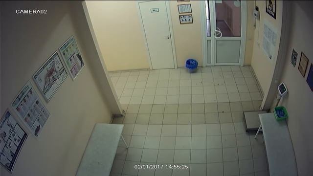 Кража пожертвований для бездомных животных в Самаре смотреть онлайн