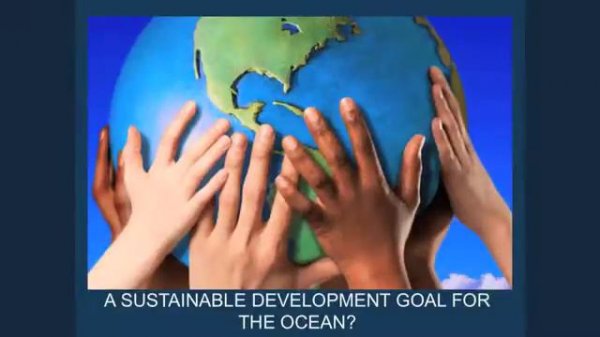 Share Your Love for the Ocean