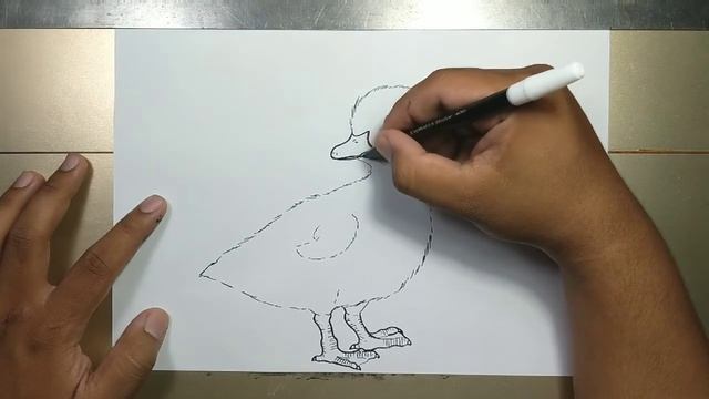 How to draw Baby Duck in 5 minutes смотреть онлайн