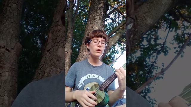 The Ship in Port -- Radical Face (ukulele cover) смотреть онлайн