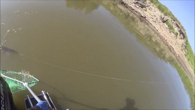 УЕХАЛИ НА СЕВЕР, А ТАМ ЖАРА! Ловля щуки, судака и окуня в Томской области. Рыбалка с ночевкой. смотреть онлайн