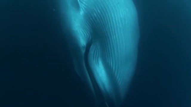 Арктика22 смотреть онлайн