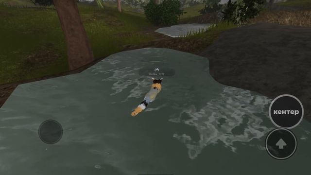 Коты-воители #11 ЗАБЕГ КОТОВ-ВОИТЕЛЕЙ #roblox (#Роблокс, #Оле7, #doohrysi)