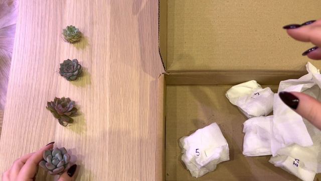 #2 Распаковка от Ивана Соболева смотреть онлайн