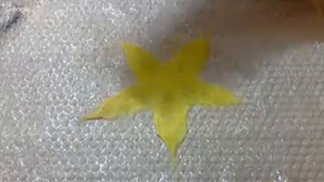 Валяем восхитительную лилию из шерсти! смотреть онлайн