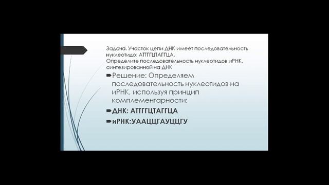 Биология ЕГЭ смотреть онлайн