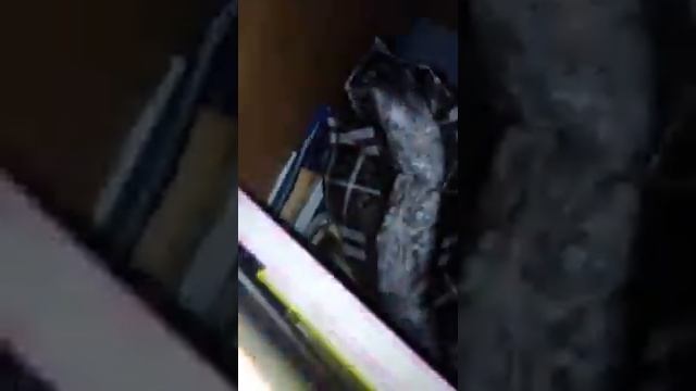 Показываю витражные наклейки, и мои рисунки!!! смотреть онлайн