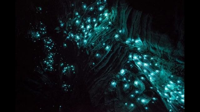 ЗВЕЗДНОЕ НЕБО В ПЕЩЕРЕ ВАЙТОНА | НОВАЯ ЗЕЛАНДИЯ смотреть онлайн