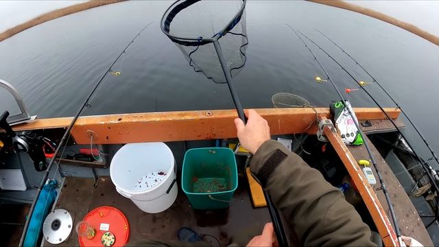 КАРП ОКАЗАЛСЯ МЕГА КАРАСЕМ смотреть онлайн