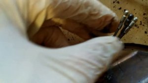 плита Мечта ремонт