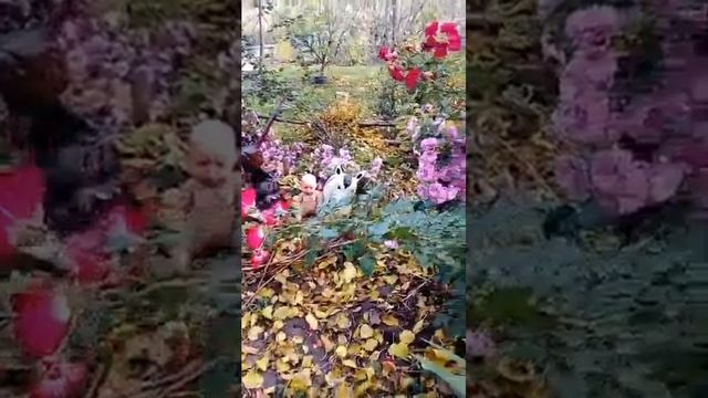 Поцелуй осени на память смотреть онлайн