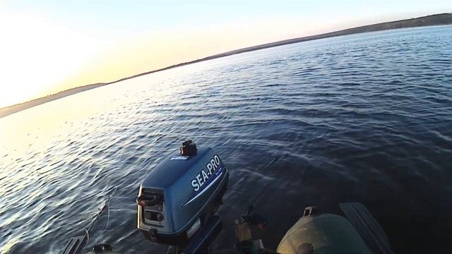 СОМ НА КВОК.ОСОБЕННОСТИ ЛОВЛИ .ВЕЧЕРНИЕ ПОКЛЕВКИ СОМА. смотреть онлайн