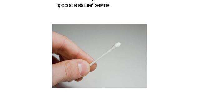 Как избавится от ПЛЕСЕНИ в рассаде! Методы борьбы смотреть онлайн