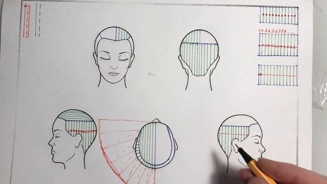 Рисуем схемы стрижек. Андрей Акимов. смотреть онлайн