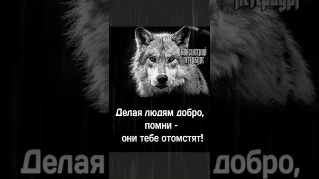 Да поможет Всевышний тем, кому сейчас не легко #жизнь #любовь #семья #друзья смотреть онлайн