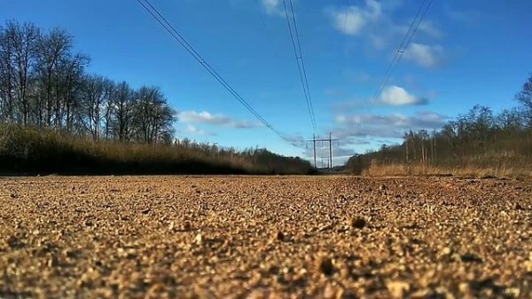 Обзор квадроцикла Wild(motoland) 150 кубов•••