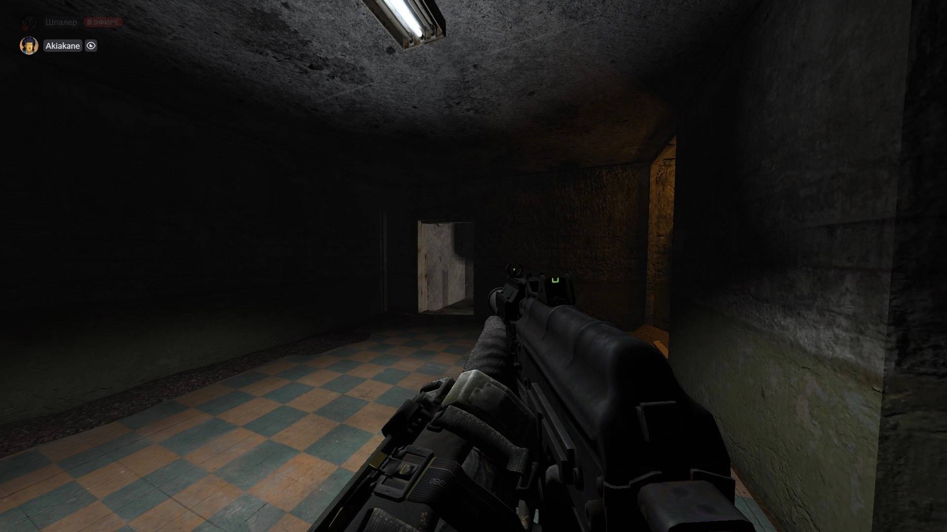 STALKER H.A.Z.E. MOD 4.0 Стрим #2 Слишком сыровато, чтобы подавать к столу. Путь за пределы Кордона смотреть онлайн