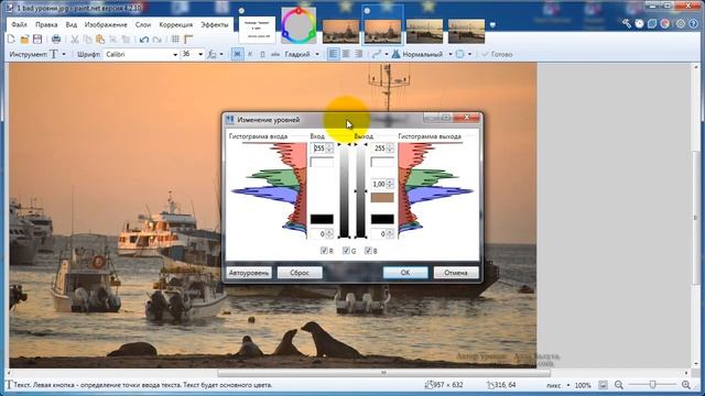 Paint.net. Урок 18. 