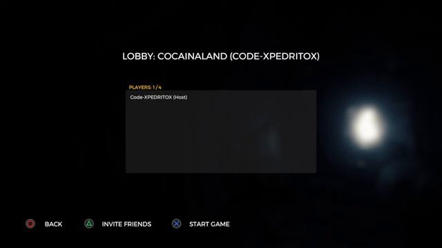 The Forest como invitar amigos en the forest смотреть онлайн