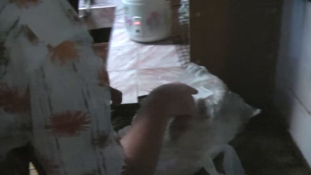 ТАЙЛАНД: Ищем барана на острове Чанг в Тайланде (Koh Chang)