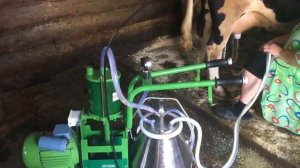 Доение коров Доильным аппаратом