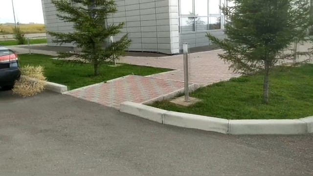 Перекати-поле. Природа всегда удивляет. Алматы. 22 июля. смотреть онлайн