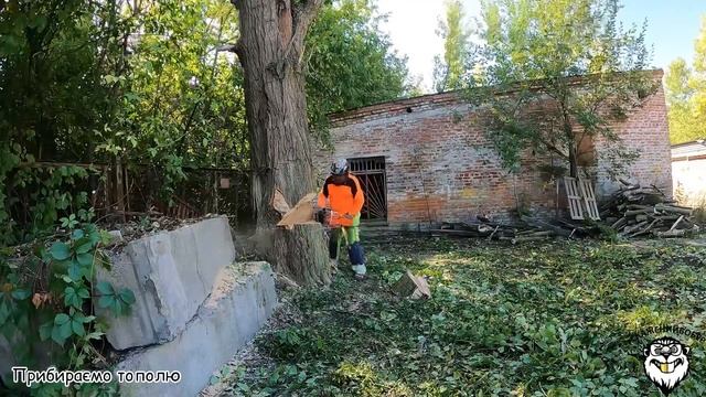 Математика молодших класів, ділимо тополю на нуль. / Junior math, divide poplar by zero. смотреть онлайн