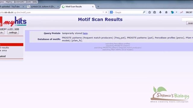 Bioinformatics practical 23 motif scan tool to identify known domains in protein sequence смотреть онлайн