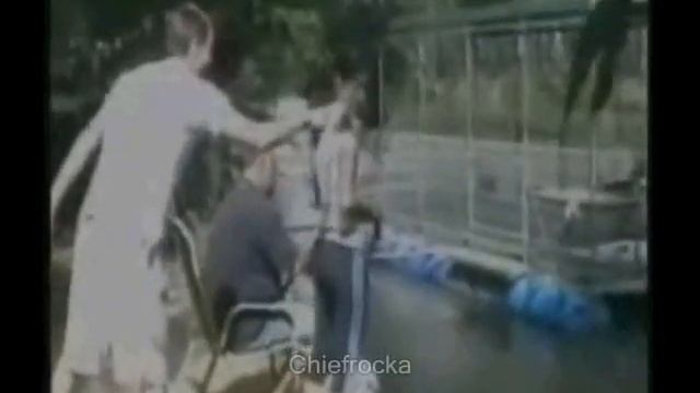 Every family has an annoying git like this.. смотреть онлайн
