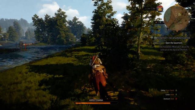 The Witcher 3 - The Apiarian Phantom Bug смотреть онлайн
