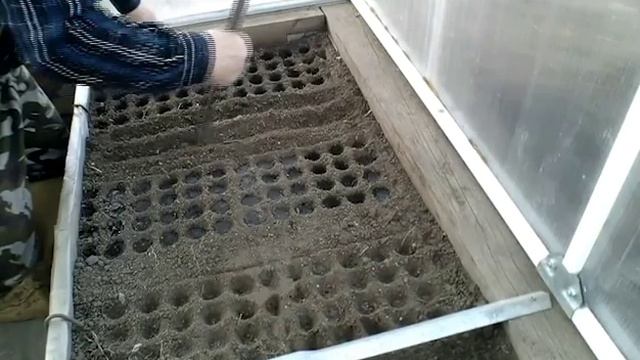 ?Посадка редиса в теплице в апреле в Сибири. Видищев Геннадий смотреть онлайн