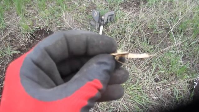 Пробное видео во время копа смотреть онлайн