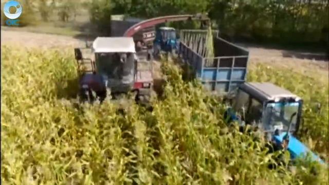 В Баганском районе местные агрохозяйства закупили современную технику смотреть онлайн