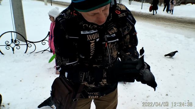 Лечение птиц . Экспресс осмотр птицы в уличных условиях. смотреть онлайн