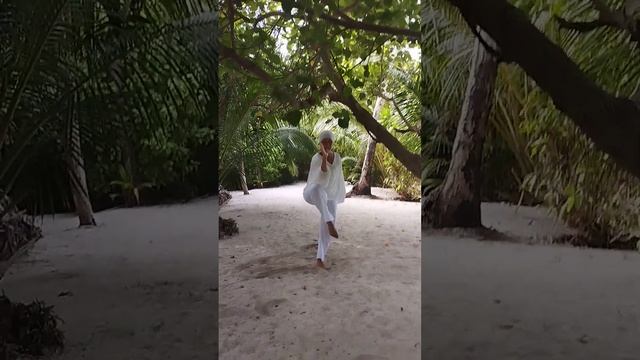 10 форм. Тайцзи Цюань на Мальдивах