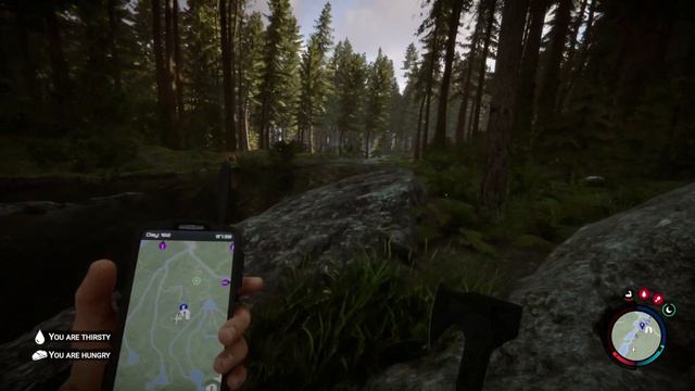 100 Days In Sons Of The Forest смотреть онлайн