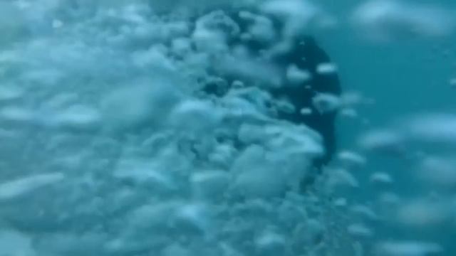 Sony Xperia incredible water test (невероятное испытание водой) смотреть онлайн