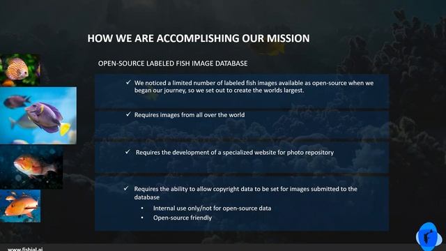 Fishial.AI Project presentation to the FAO of the United Nations - AI Digital Blue Planet Forum! смотреть онлайн