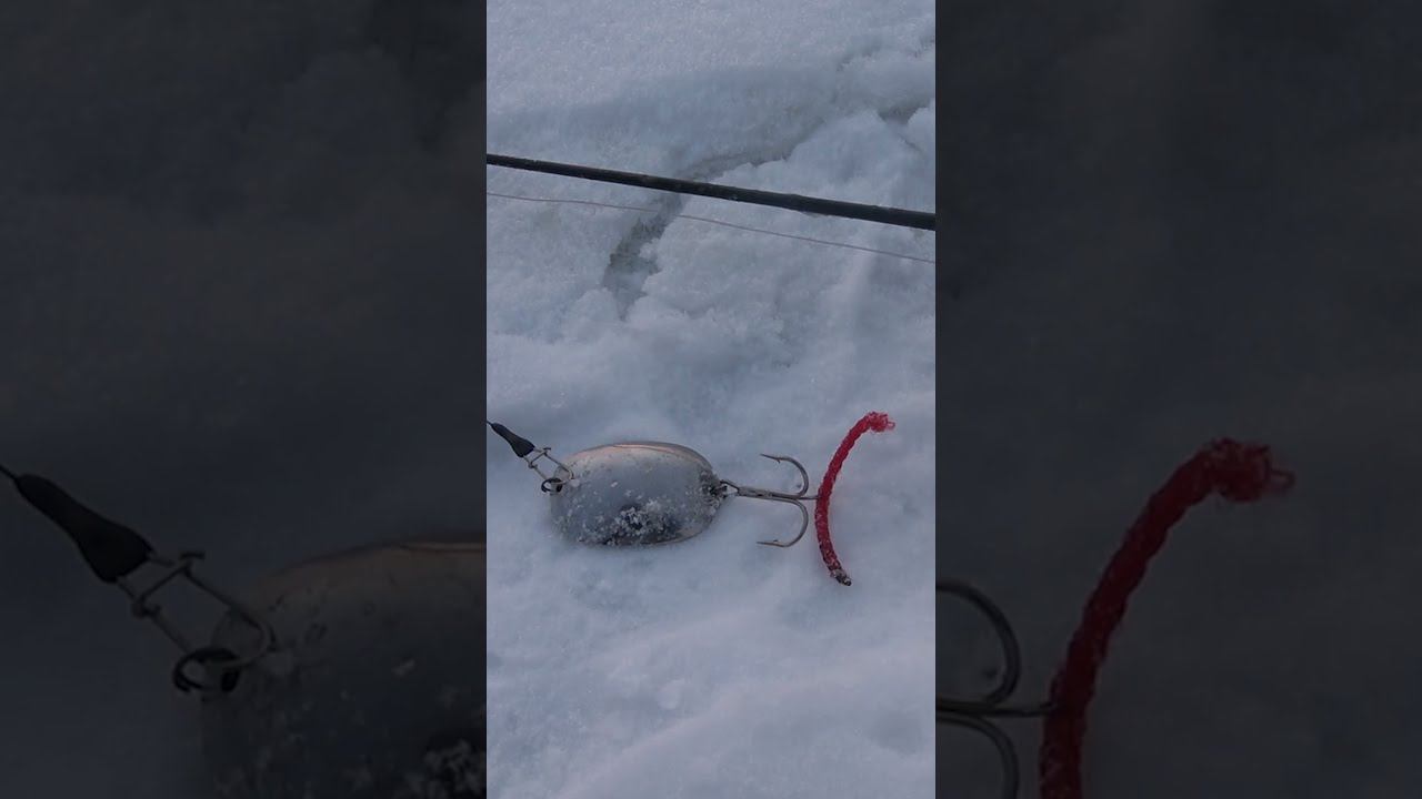 НА ЛОЖКУ! КАК МОЙ ДЕД ЛОВИЛ!) #shorts #fishing #рыбалка смотреть онлайн