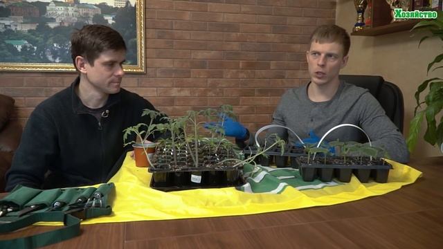 В чем выращивать рассаду: горшки, кассеты или улитки? Недостатки и преимущества! смотреть онлайн