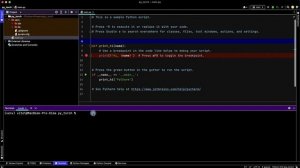 Как установить и использовать PyTorch