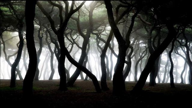 FAUN Alba / EDEN смотреть онлайн
