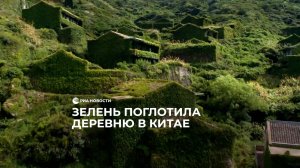 Зелень поглотила деревню в Китае