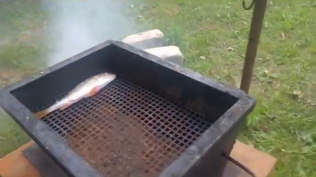 Горячее копчение/ Как правильно закоптить рыбу без предварительного засола. смотреть онлайн